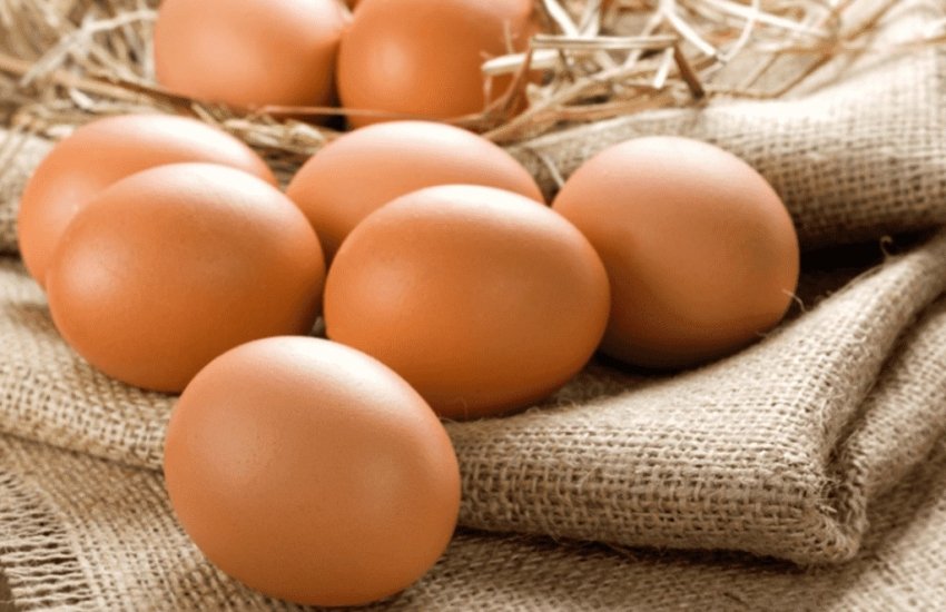 Мінагрополітики домовилось з виробниками стабілізувати ціни на яйця