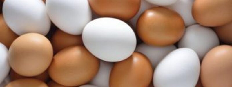 Вітчизняний виробник яєць отримав $2,4 млн чистого прибутку