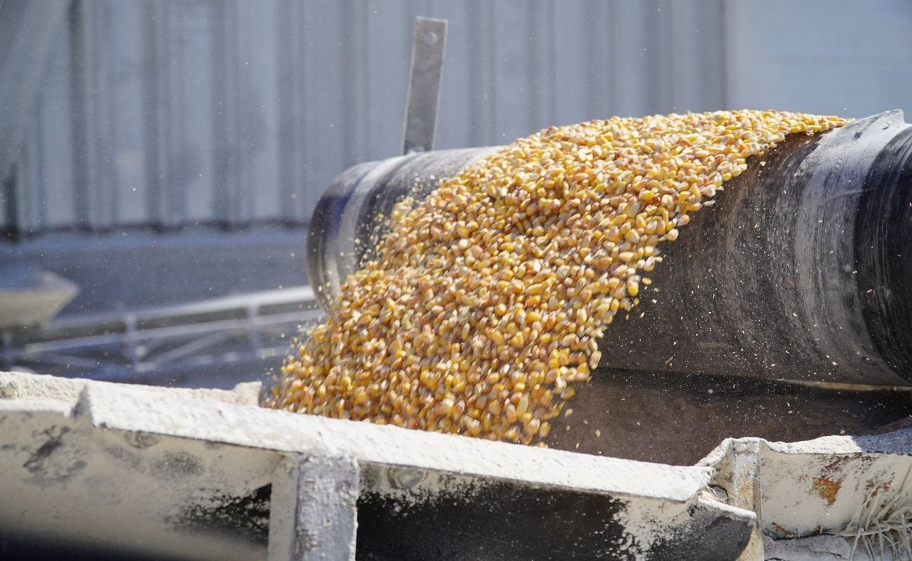 Скільки вкраденого українського зерна вже експортувала росія