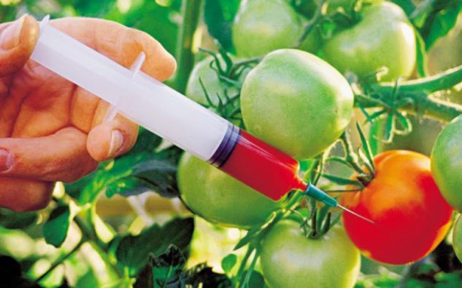 Верховна Рада має намір врегулювати ринок ГМО-продуктів