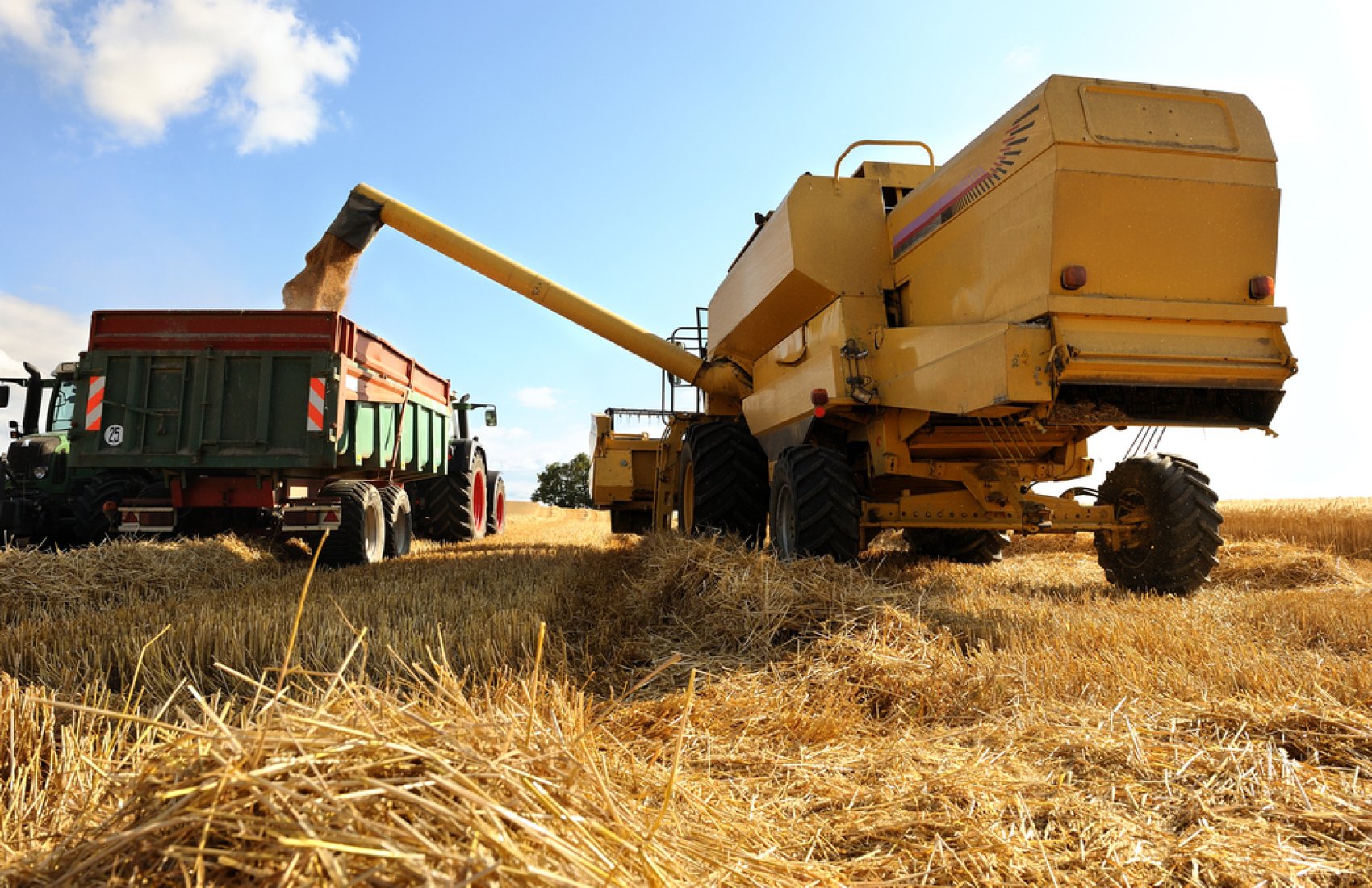 Врожай зернових в Україні в 2022 році зменшиться на 40% через вторгнення рф
