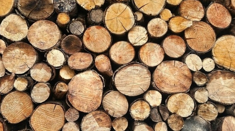 В Україні створили рекордний запас дров