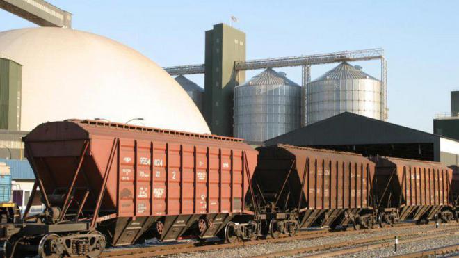 Залізницею перевезли 28,5 млн тонн зернових вантажів