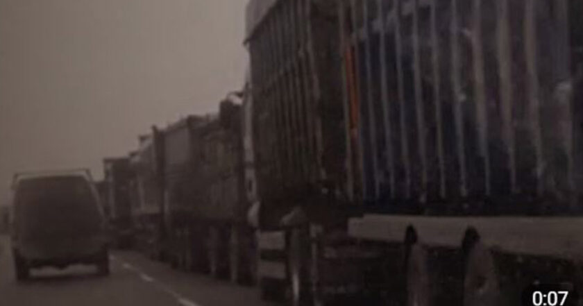 Черга з вантажівок понад 15 кілометрів: окупанти вивозять крадене зерно до рф