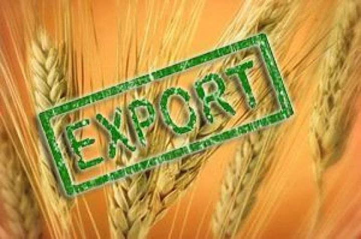 Експорт українського зерна з початку сезону практично досяг 19 млн тонн
