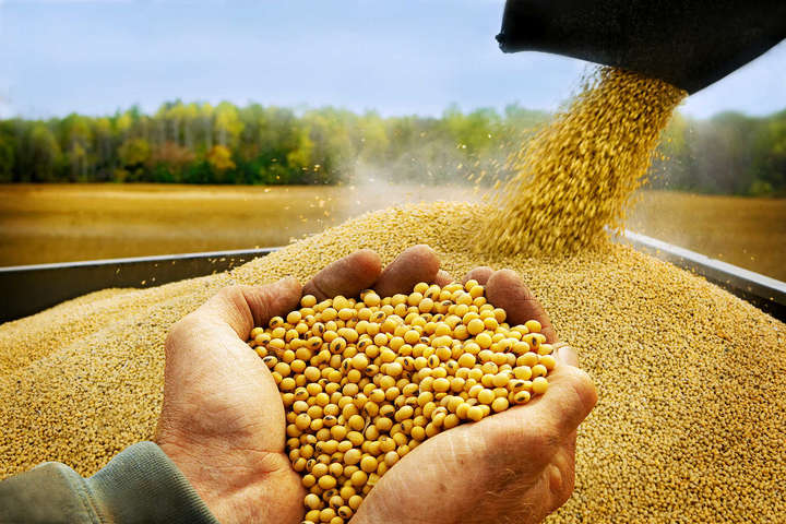 В Україні намолочено 44,9 млн тонн зернових та зернобобових культур
