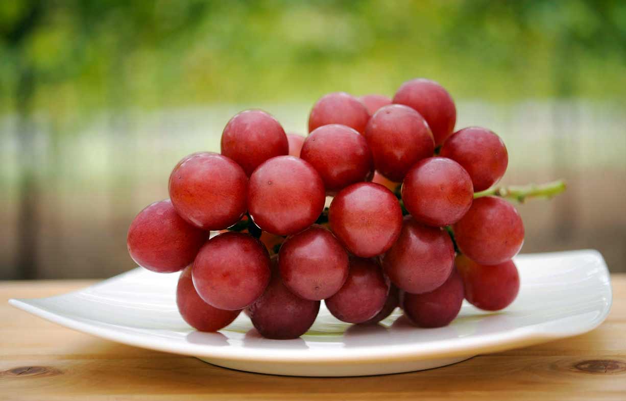 У Японії гроно винограду Ruby Roman продали за 12 тисяч доларів