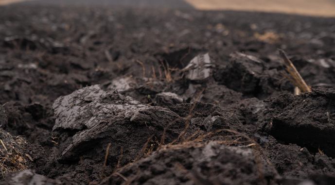 Збитки від забруднення ґрунтів та засмічення земель сягнули майже 700 млрд грн