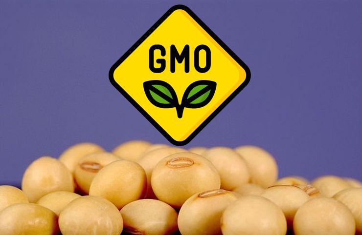 У Китаї просуваються пробні проєкти з комерціалізації ГМО-кукурудзи та соєвих бобів