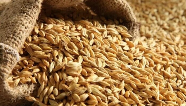 Експорт українського зерна впритул наблизився до 26 млн тонн