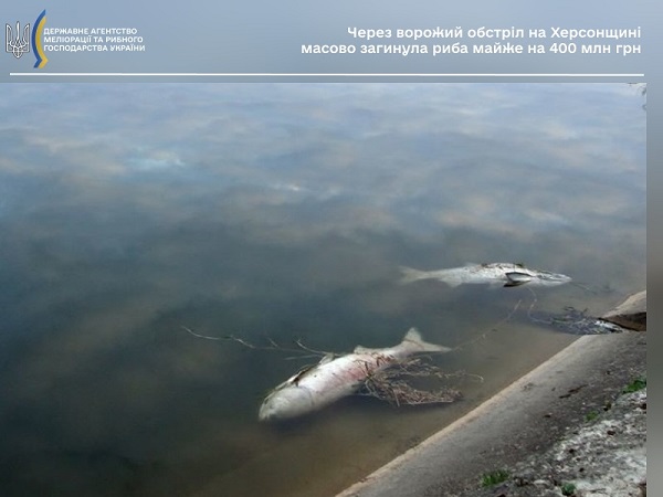 Через ворожий обстріл на Херсонщині масово загинула риба майже на 400 млн грн