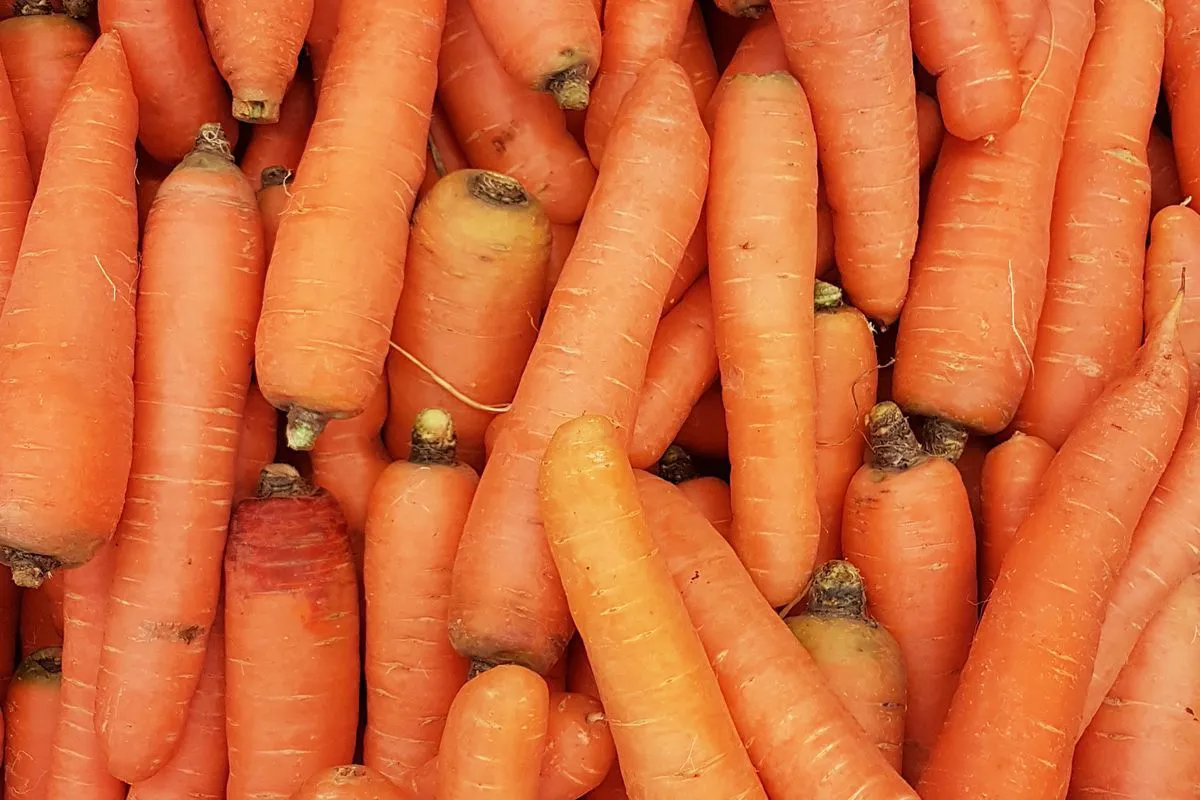 Дефіцит моркви провокує зростання цін