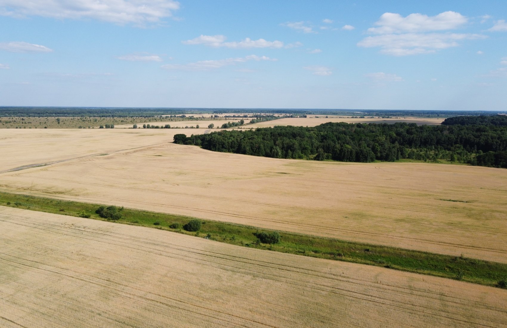 Українські аграрії отримають 15,5 млн доларів від ЄС