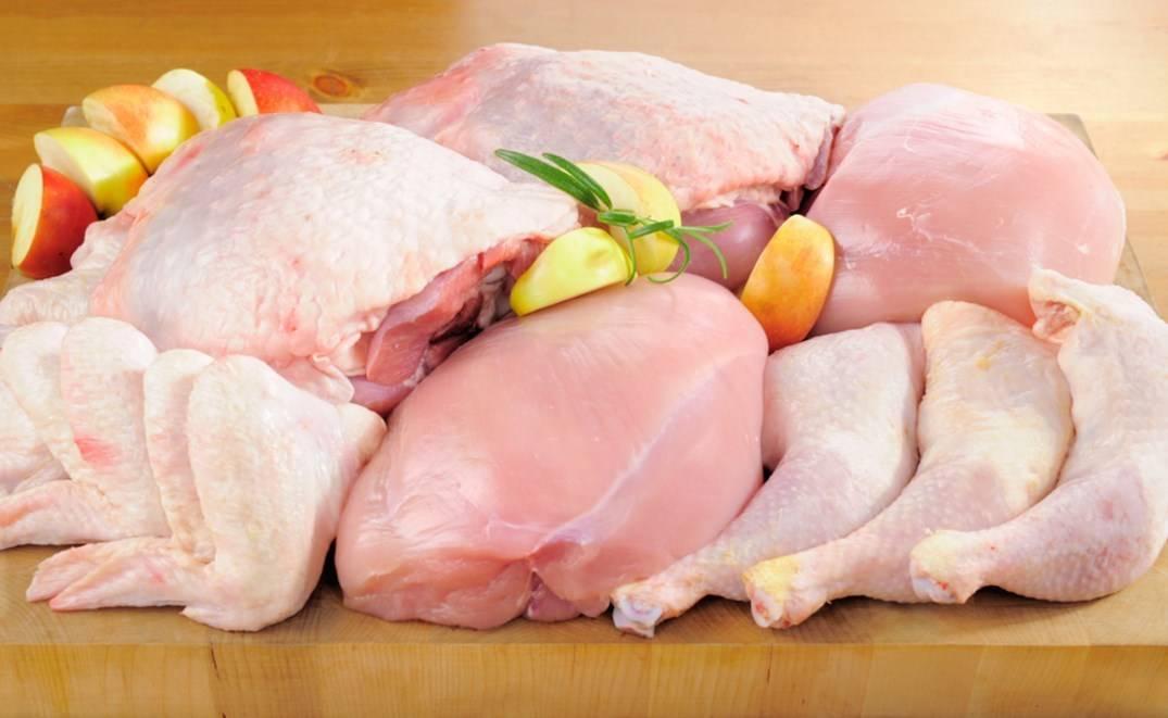 МХП скоротив виробництво курятини