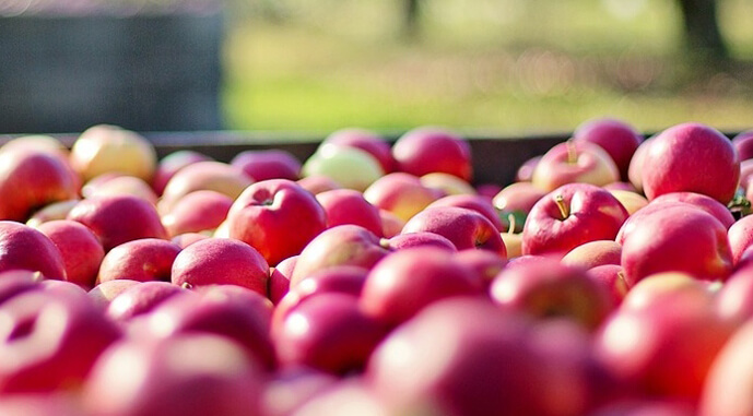 В Україні три роки поспіль перевиробництво яблук