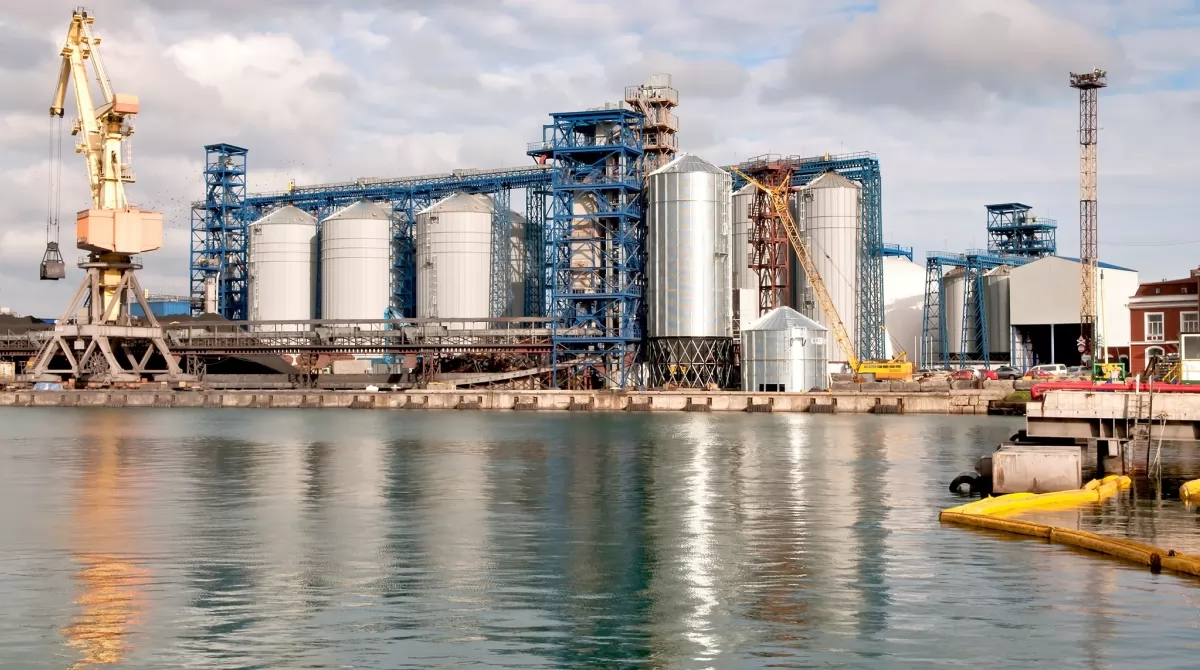 Скандал навколо Одеського зернового терміналу: всі контракти з відвантаження зерна на експорт виконуються вчасно – заява GNT Group