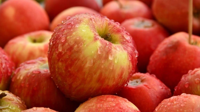 Україна відновила експорт свіжих яблук до Малайзії та Близького Сходу попри агресію росії