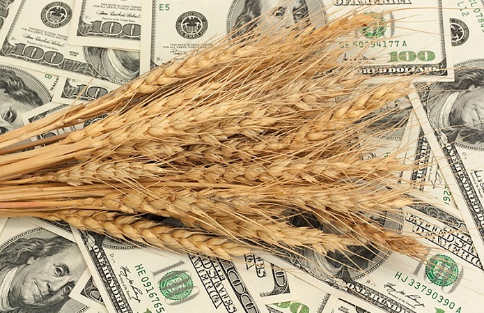 Активний експорт російської пшениці посилює тиск на котирування