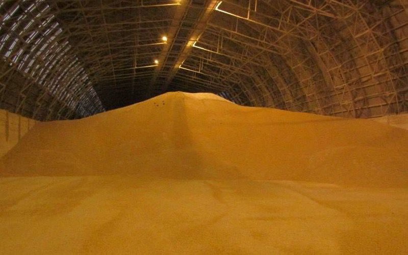 Митниця викрила спробу незаконного експорту кукурудзи на 46 млн грн