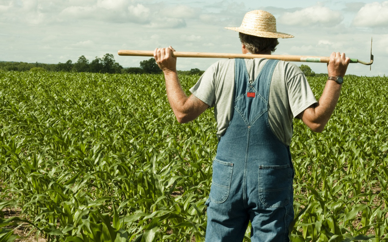 Мінагрополітики підтримує законопроект про об’єднання сільськогосподарських товаровиробників