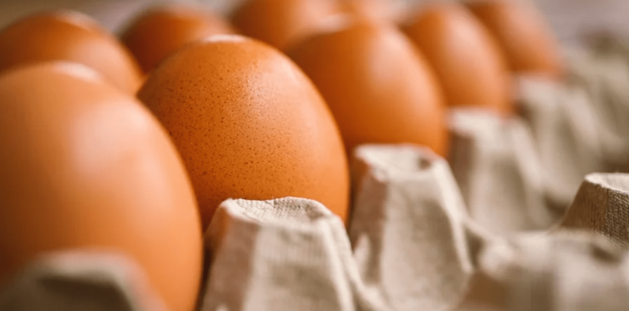 Чому яйця в Україні ще не коштують 17 гривень за штуку, але все може змінитися
