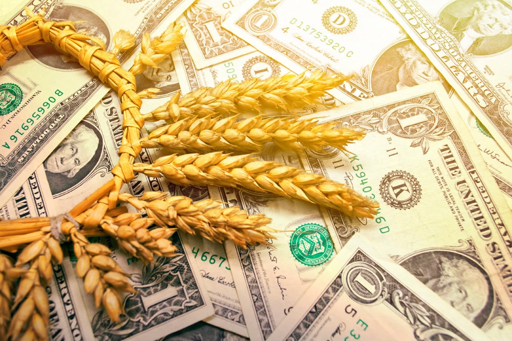 Прогнози скорочення врожаю пшениці в наступному сезоні вплинули на біржові котирування