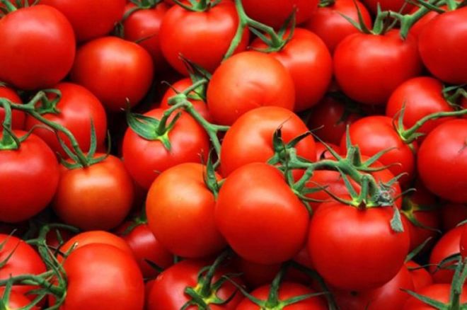 В Україні дорожчають томати через відсутність поставок із Туреччини: які ціни