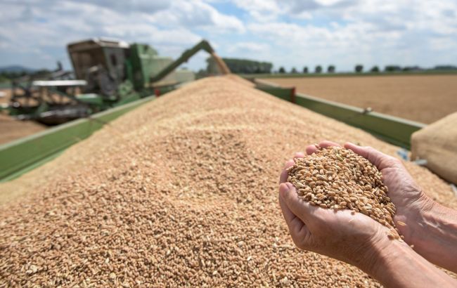 В Україні зібрано 53,2 млн тонн зернових та зернобобових культур