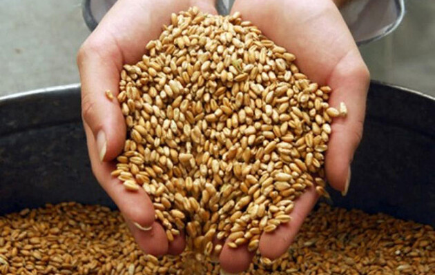 Аграрний експорт у січні впав на 20% через блокування “зернового коридору” рф