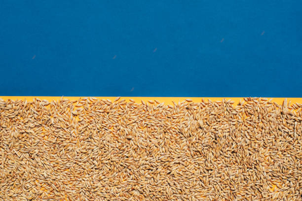 Фінляндія виділила 5 млн євро на підтримку експорту українського зерна