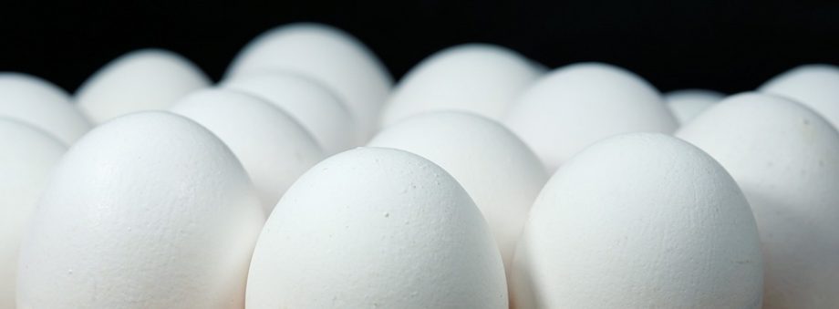 Таїланд випустив перші сертифіковані яйця з низьким вмістом вуглецю 