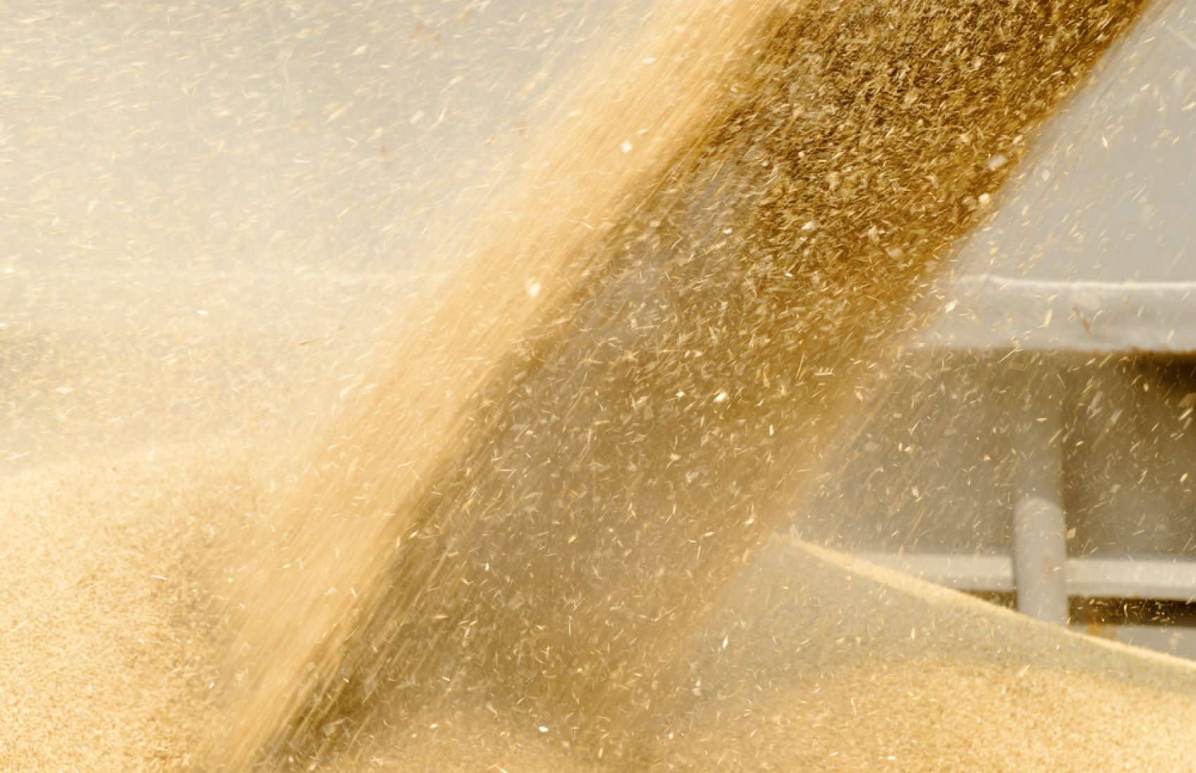 Трейдери перейшли від спекулятивних продажів пшеничних контрактів до активної закупівлі