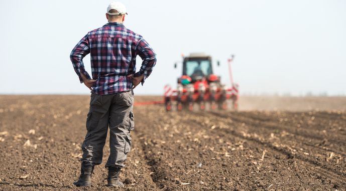 Як українські фермери оцінюють стан свого бізнесу: дослідження