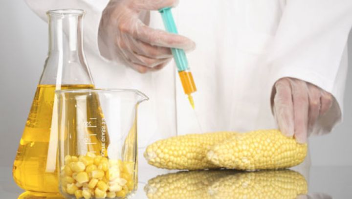 ГМО – це питання біологічної безпеки, і компромісів тут бути не може, – Мінагрополітики