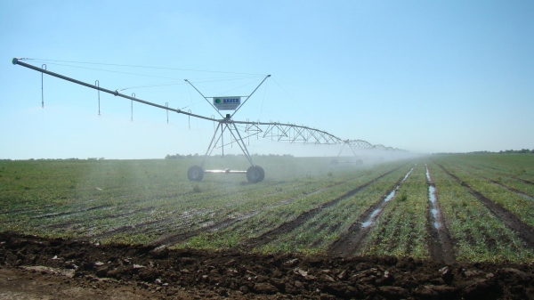 Об’єднання водокористувачів: аграрії отримали покрокову інструкцію створення ОВК