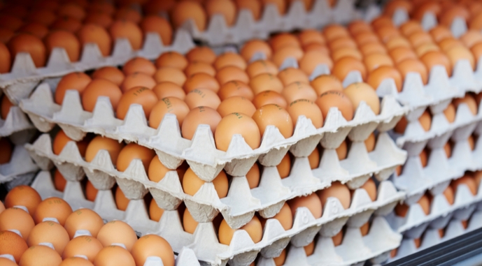 Половину від загальної кількості харчових яєць виробляють селянські домогосподарства