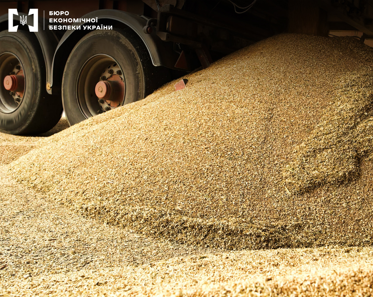БЕБ упередило незаконне відшкодування ПДВ на 132 млн при експорті зерна