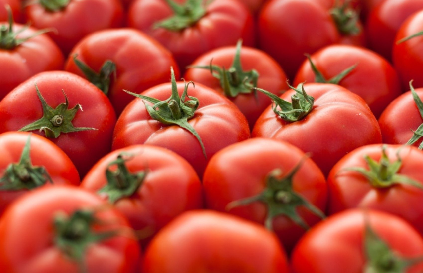 Туреччина зняла заборону на експорт томатів лише через кілька днів після її введеня