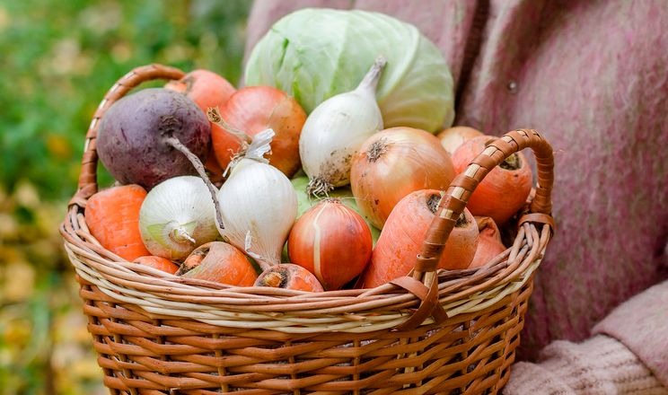 В Україні злетіли ціни на цибулю, моркву та капусту