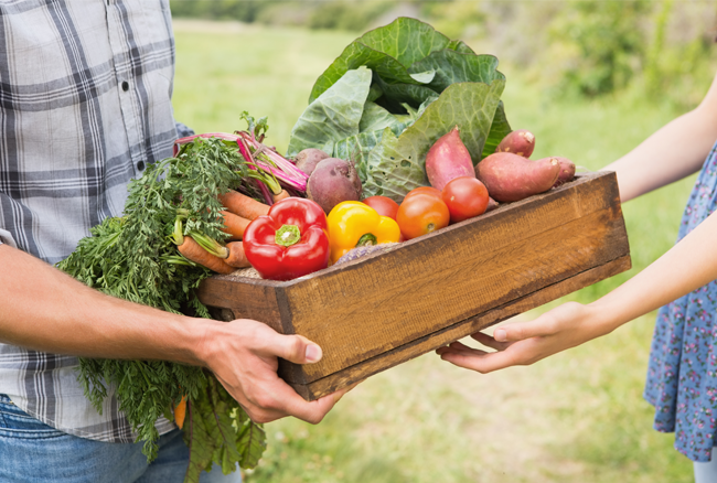 Понад 40 000 домогосподарств отримають насіння овочів через USAID
