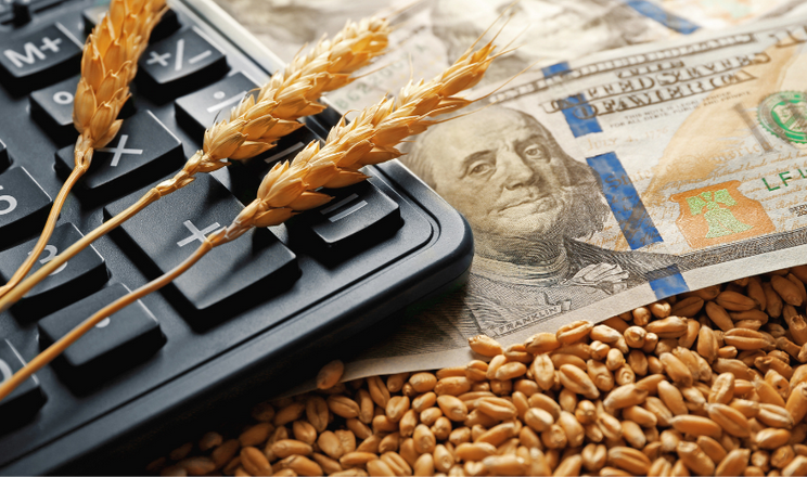 Проблеми із зерновим коридором можуть вплинути на ціни на зерно