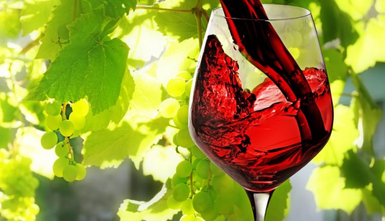 Зміна клімату може кардинально змінити смак вина 