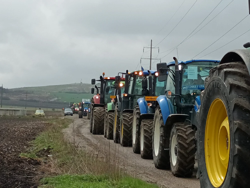 Румунські фермери знову протестують через українське зерно