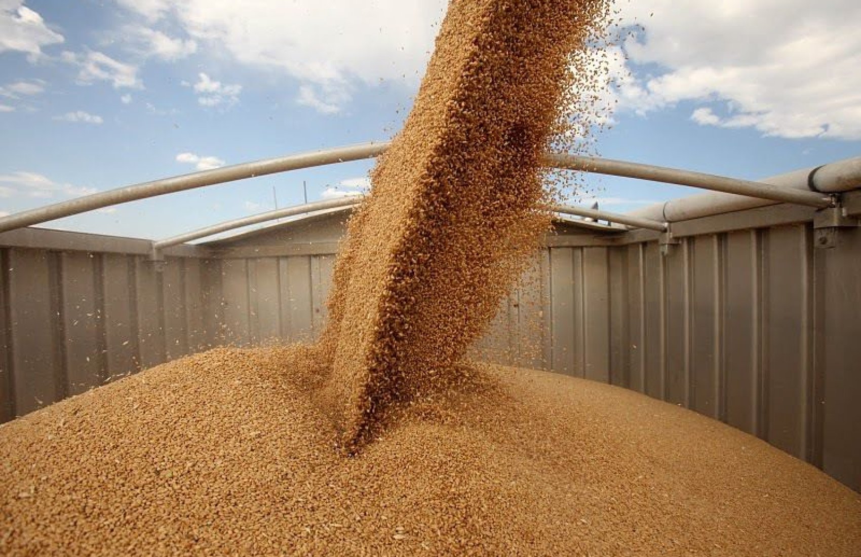 Експорт українського зерна у сезоні-2023/24 перевищив 25 млн тонн