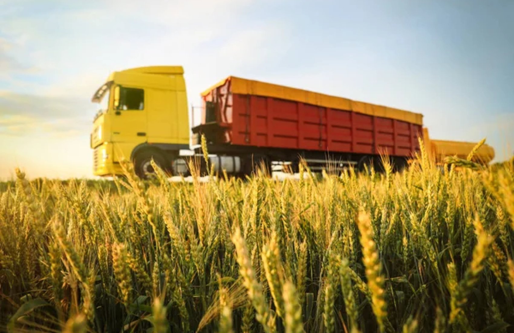 ЄС може обмежити аграрний імпорт України до сусідів після продовження «економічного безвізу»