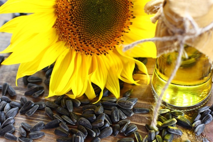 Експорт соняшникової олії з України може сповільнитися вже з травня