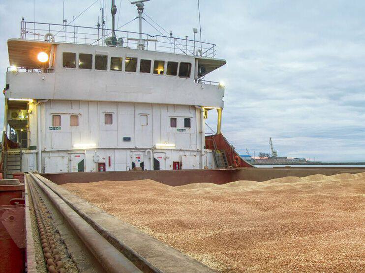 Уряд дозволив ОВА віддавати надлишкове зерно пшениці для гуманітарної програми «Grain from Ukraine»