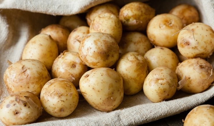 Молода картопля в 10 разів дорожча старої: ціни на овочі