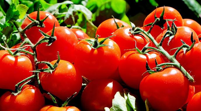 Україна входить до топ-3 імпортерів овочів та фруктів із Туреччини