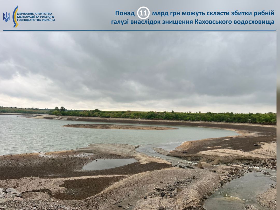 Підрив Каховської ГЕС: збитки рибної галузі оцінюють у понад 11 млрд грн